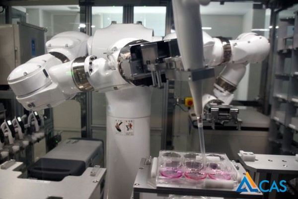 60-cong-trinh-hop-nhat-ai-robot-de-quyet-dinh-buoc-nuoi-cay-ly-tuong-cho-cac-te-bao-ips-1.jpg