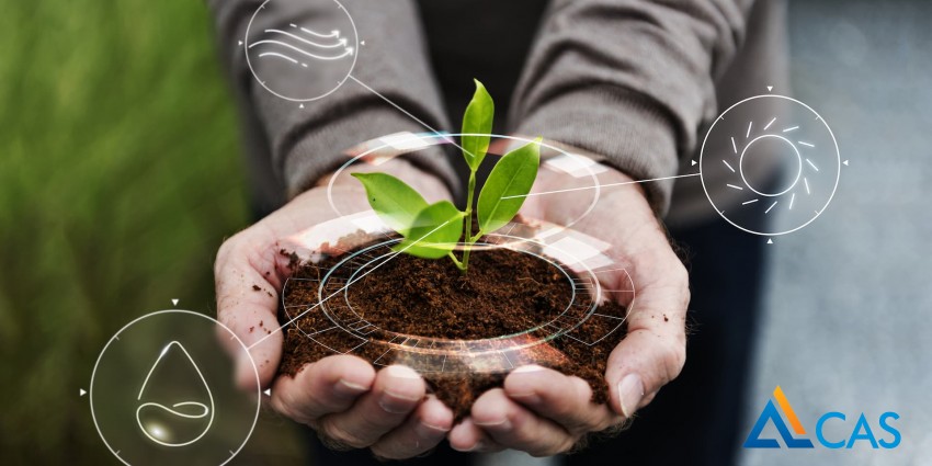 Cas Nhận Giấy Chứng Nhận Đăng Ký Quyền Tác Giả Cho Giải Pháp Nông Nghiệp Thông Minh