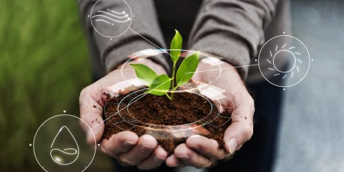 Cas Nhận Giấy Chứng Nhận Đăng Ký Quyền Tác Giả Cho Giải Pháp Nông Nghiệp Thông Minh