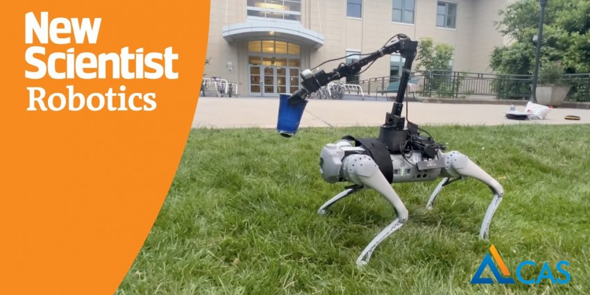 Ai Huấn Luyện Chó Robot Giá Rẻ Và Phối Hợp Linh Hoạt Nhiều Chi