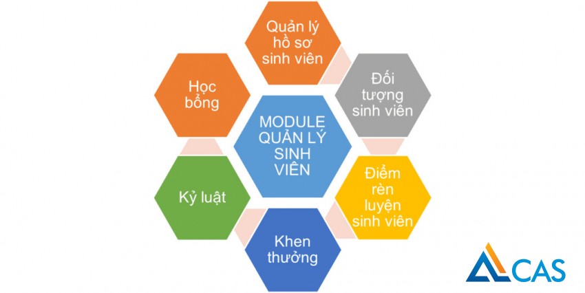 84-giai-phap-chuyen-doi-so-truong-dai-hoc-11.jpg