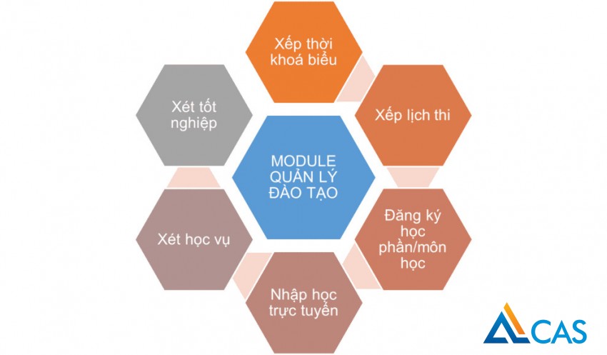 84-giai-phap-chuyen-doi-so-truong-dai-hoc-9.jpg